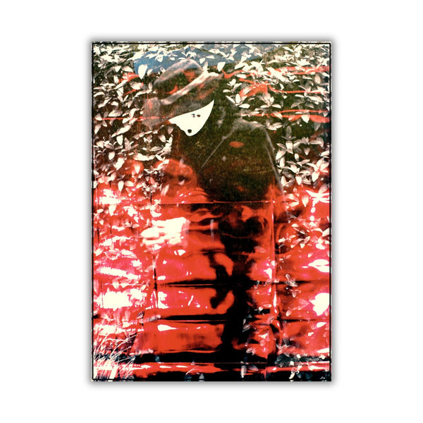 migration of fraud #09, 2015